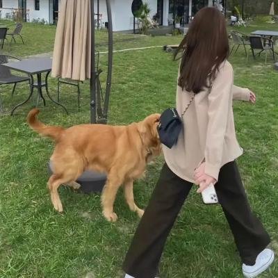 星光照万家